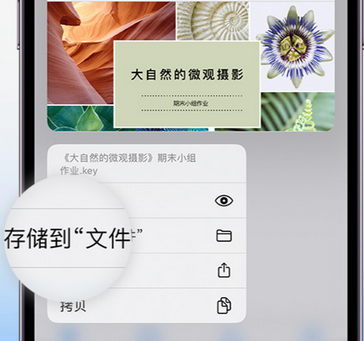 衢江apple维修中心分享iPhone文件应用中存储和找到下载文件