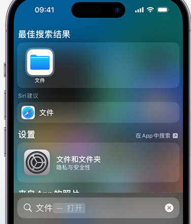 衢江apple维修中心分享iPhone文件应用中存储和找到下载文件 