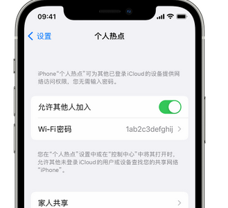 衢江apple服务站点分享iPhone上个人热点丢失了怎么办 