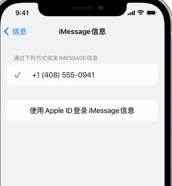 衢江apple维修iPhone上无法正常发送iMessage信息 