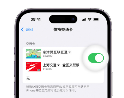 衢江apple维修点分享iPhone上更换Apple Pay快捷交通卡手绘卡面 