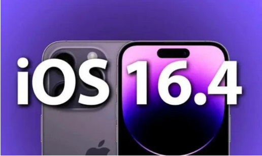 衢江苹果14维修分享：iPhone14可以升级iOS16.4beta2吗？ 