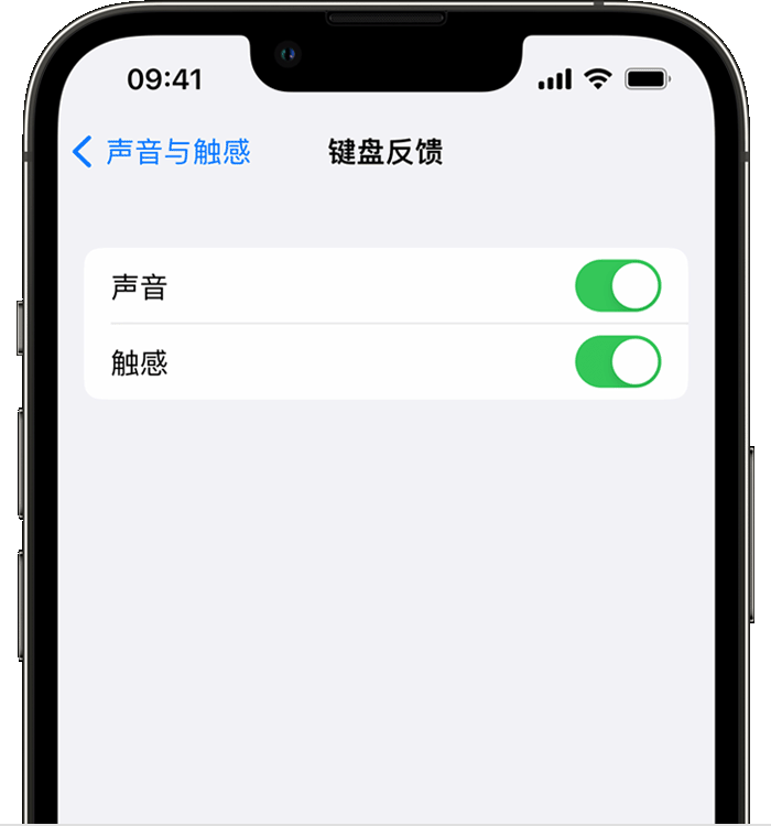 衢江苹果14维修店分享如何在 iPhone 14 机型中使用触感键盘 