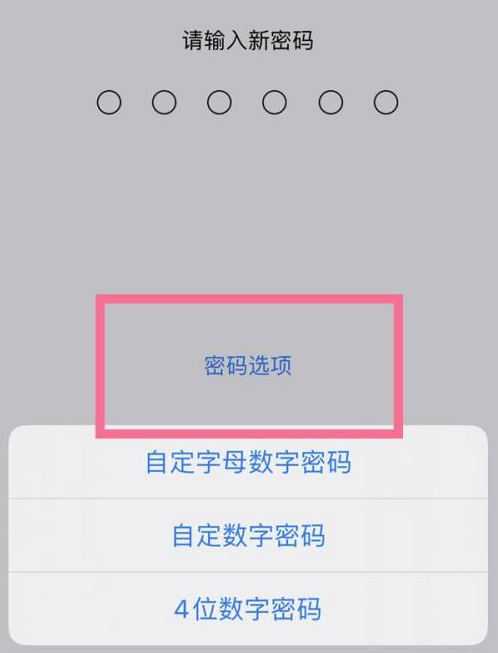 衢江苹果14维修分享iPhone 14plus设置密码的方法 