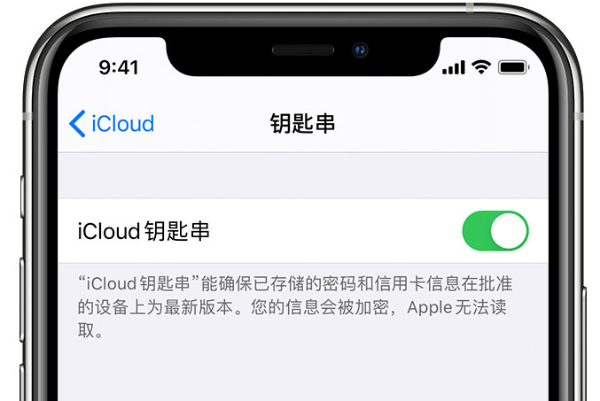 衢江苹果手机维修分享在 iPhone 上开启 iCloud 钥匙串之后会储存哪些信息 